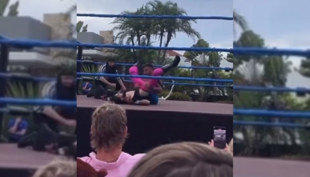 Logan Paul dévoile le sexe de son enfant dans un match de catch