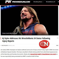 Pro Wrestling