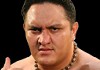 Samoa Joe