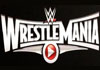 WM31