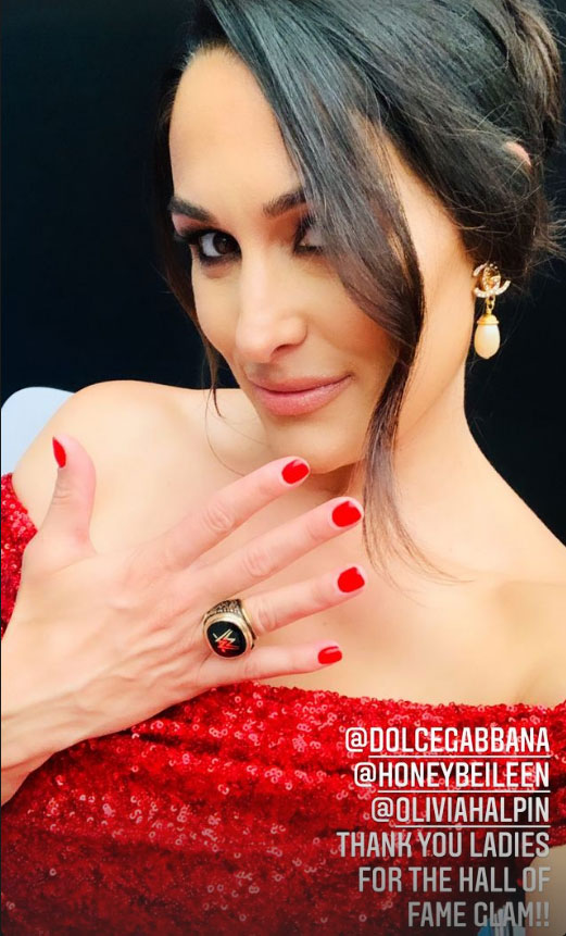 bella twins hof 2020 1