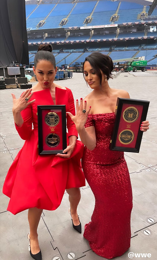 bella twins hof 2020