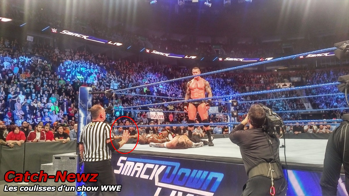 coulisse wwe